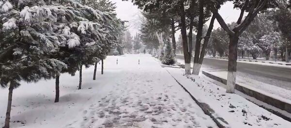 Снегопад в Худжанде 2020 - YouTube - Sputnik Тоҷикистон