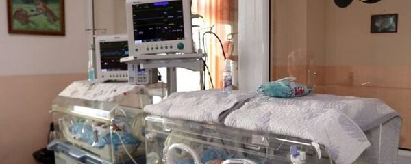 Боксы с малышами Боксы с малышами - Sputnik Тоҷикистон