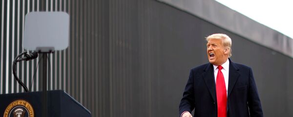 Президент США Дональд Трамп во время посещения пограничной стены между США и Мексикой в ​​Аламо, штат Техас - Sputnik Таджикистан