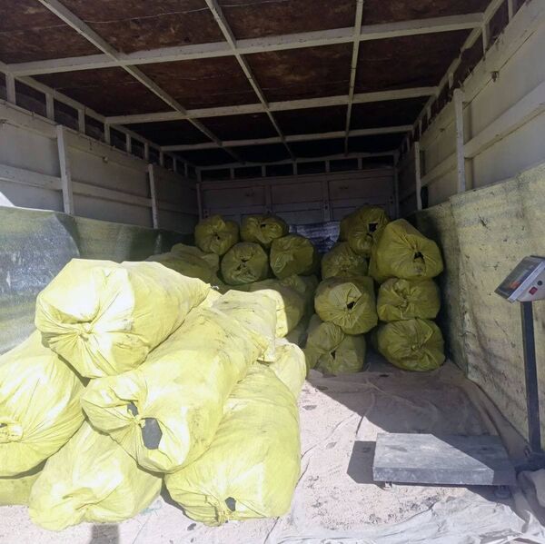 “Таппакбизнес”: бозори экзотикии маводи сӯхти “аз лиҳози экологӣ тоза” дар Тоҷикистон - Sputnik Тоҷикистон