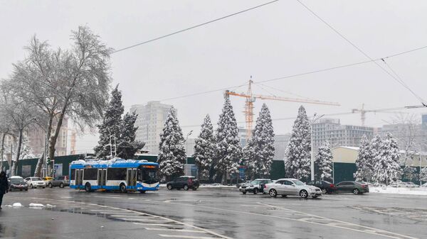 Зима в городе Душанбе - Sputnik Тоҷикистон