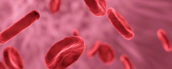 Иллюстрация кровяных клеток Иллюстрация кровяных клеток - Sputnik Таджикистан