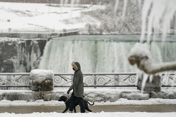 Девушка с собакой проходит мимо водопада Хорсшу-Фолс в Канаде  - Sputnik Тоҷикистон