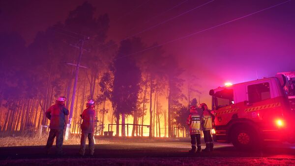 Пожарные на пожаре в Вуроло, недалеко от Перта, Австралия - Sputnik Таджикистан