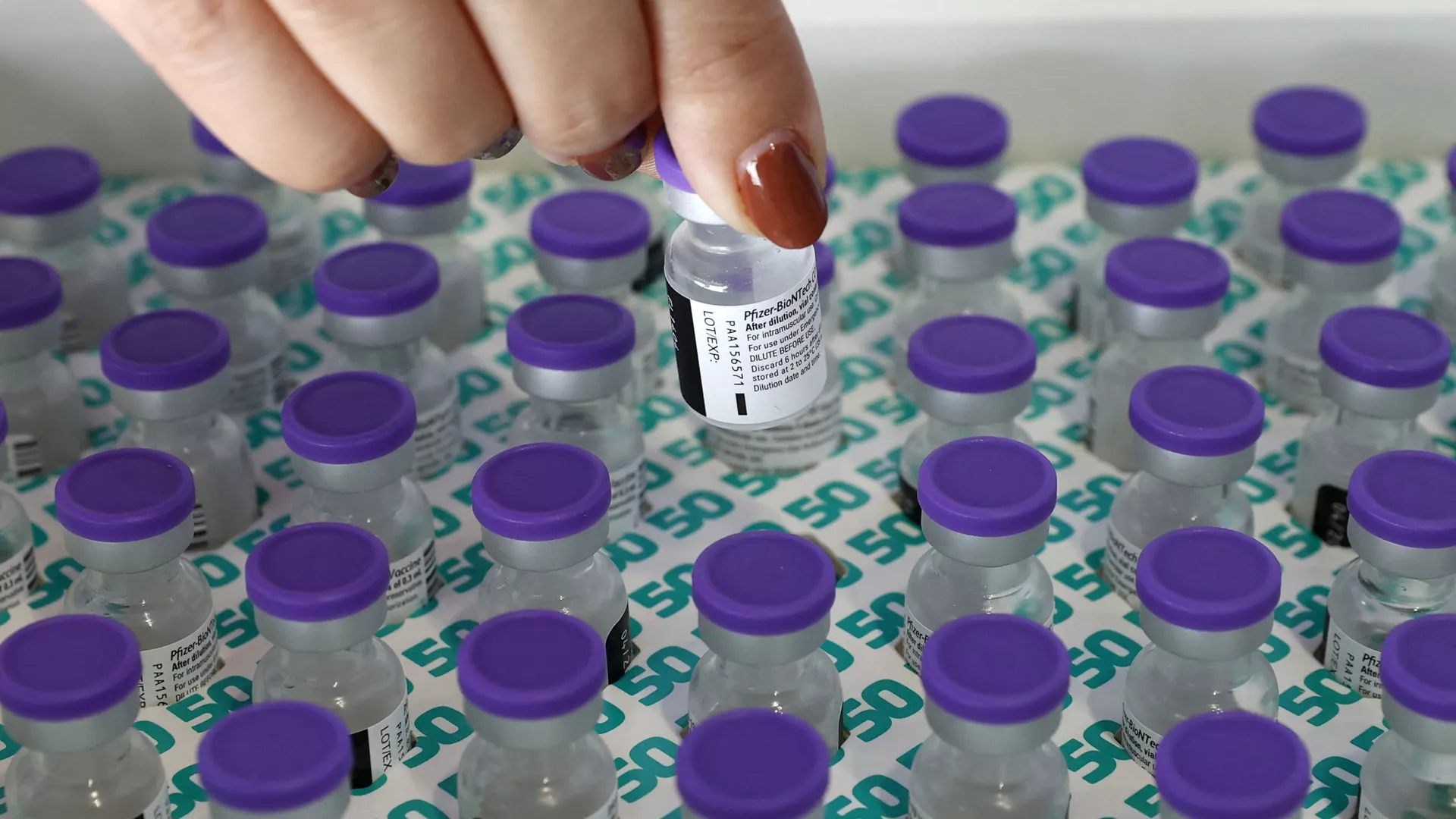 Ампулы с вакциной Pfizer