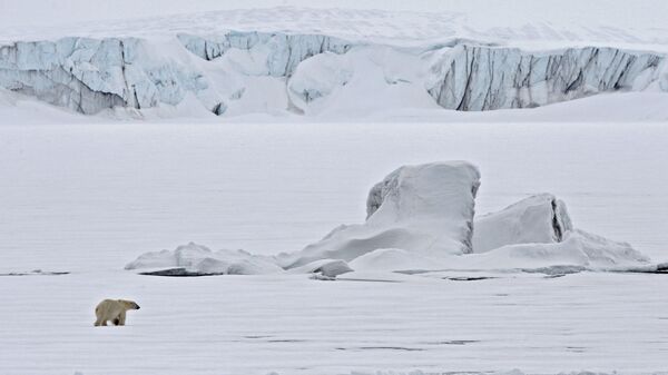 Белый медведь на льдине в Северном ледовитом океане - Sputnik Таджикистан