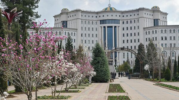 Национальная библиотека Таджикистана - Sputnik Таджикистан