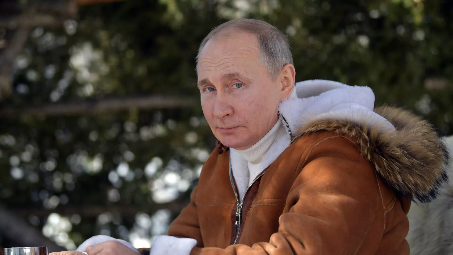 Президент РФ Владимир Путин во время прогулки в тайге