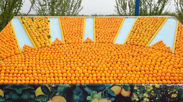 Лимоны, архивное фото - Sputnik Таджикистан