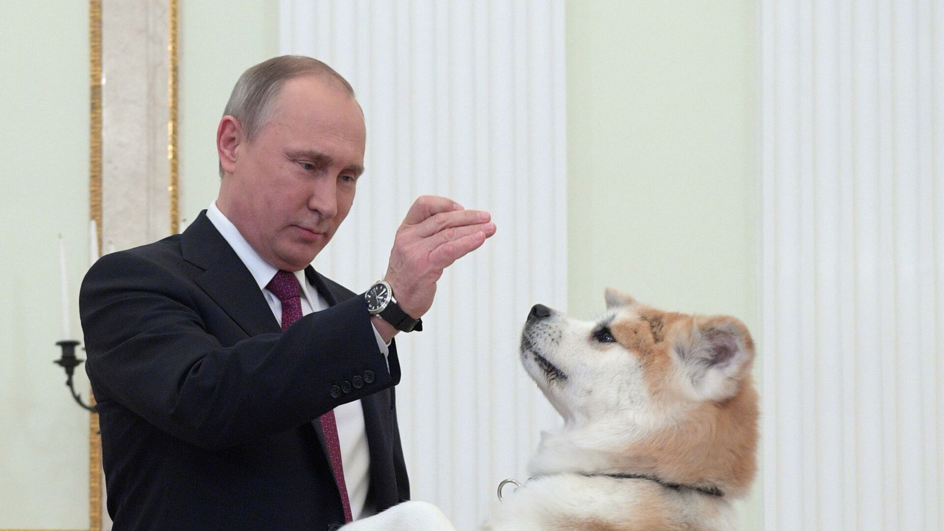 Президент РФ Владимир Путин с собакой Юмэ - Sputnik Таджикистан, 1920, 30.03.2021