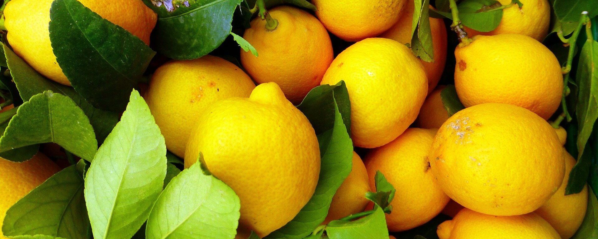 Лимоны, архивное фото - Sputnik Таджикистан, 1920, 02.04.2021
