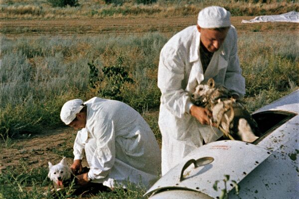 Врачи извлекают подопытных собак из кабины головной части геофизической ракеты на месте приземления - Sputnik Таджикистан