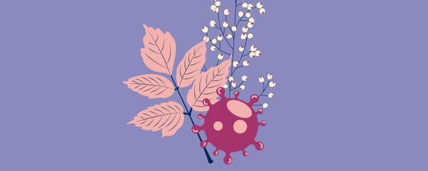 Коронавирус в Таджикистане: статистика за ноябрь Коронавирус в Таджикистане: статистика за ноябрь - Sputnik Таджикистан