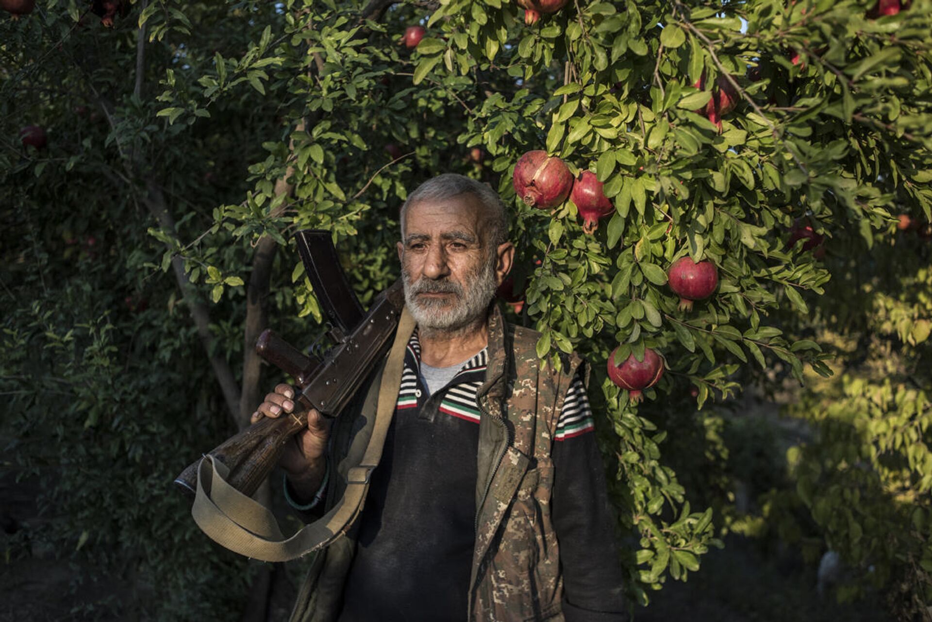 Местный житель Анушаван стоит в гранатовом саду во дворе своего
дома. В его руке старый автомат Калашникова, который остался у него с первой
карабахской войны - Sputnik Таджикистан, 1920, 16.04.2021