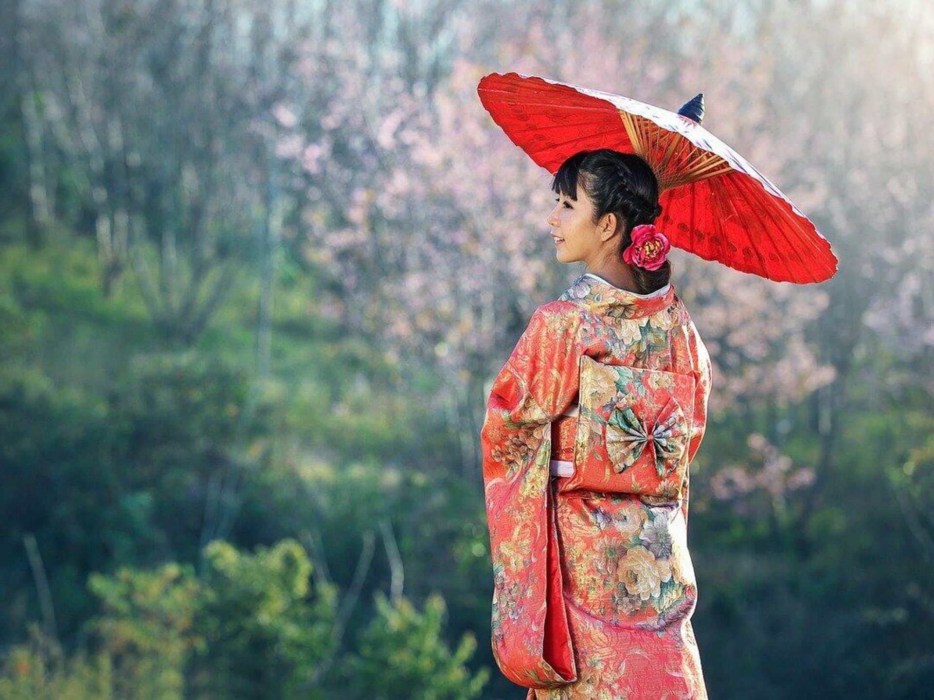Кимоно гейши. Гейша Японии с зонтиком. Японская мудрость традиции. Японцы. Asia g