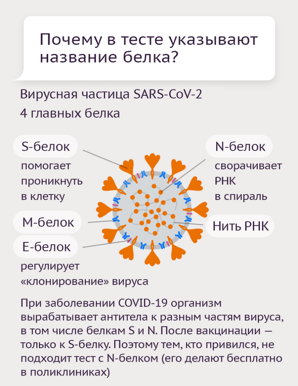 Тесты на антитела к коронавирусу - Sputnik Таджикистан