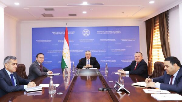 Встреча министров иностранных дел Таджикистана и Украины - Sputnik Тоҷикистон