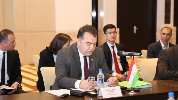 Далер Джума Шофакир - министр энергетики и водных ресурсов Таджикистана - Sputnik Таджикистан
