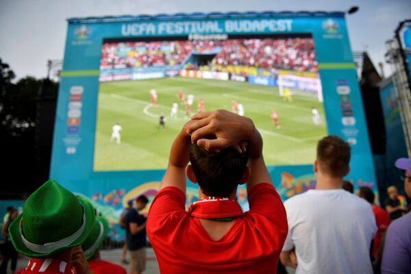Болельщики сборной Венгрии наблюдают за матчем. - Sputnik Таджикистан