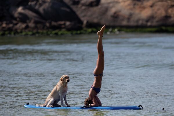 Купальник - это своеобразная спортивная форма для серфингисток. А собак они обучают страховать их во время разминки. - Sputnik Таджикистан