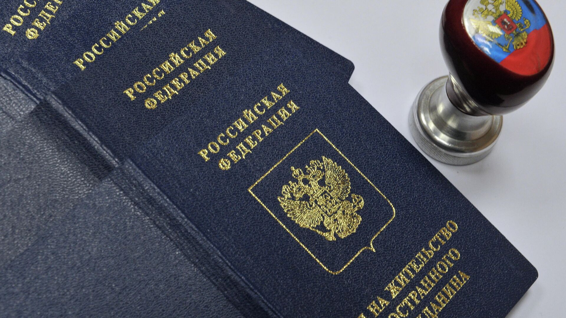 Вид на жительство иностранного гражданина в отделении по вопросам гражданства РФ - Sputnik Таджикистан, 1920, 09.06.2022