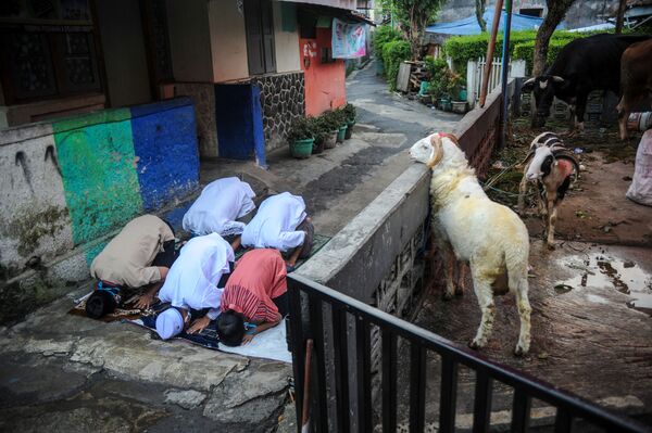 Индонезийские мусульмане совершают молитву в честь праздника Курбан-байрам на улице из-за всплеска коронавируса. - Sputnik Таджикистан