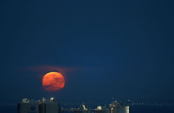 Полная луна поднимается над Токийским заливом в Японии. - Sputnik Таджикистан