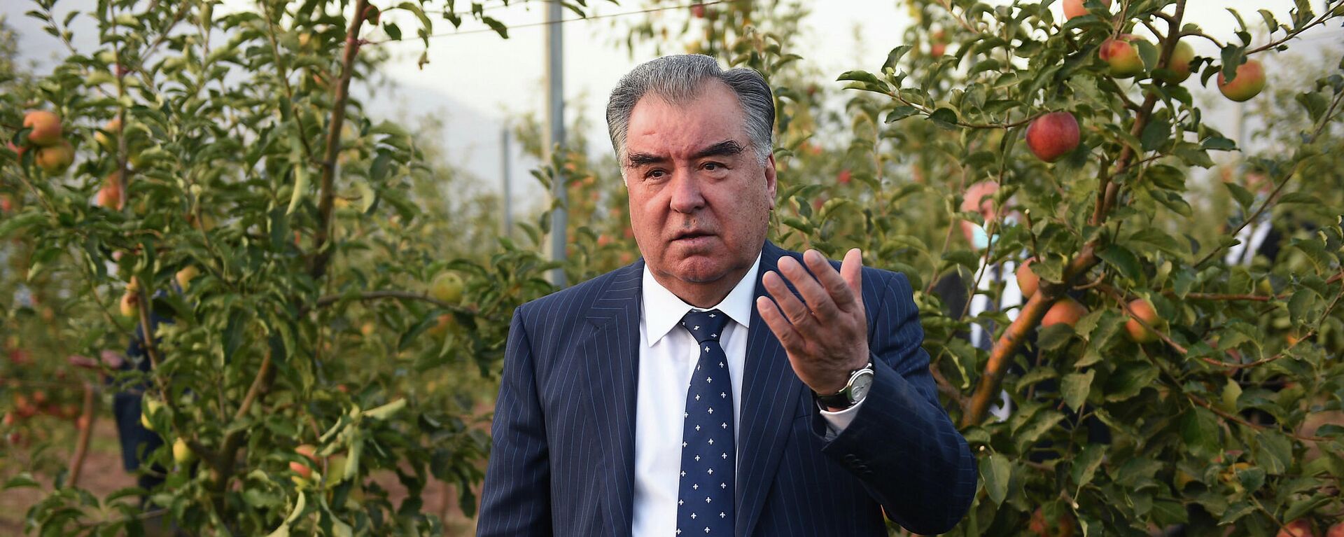 Президент Республики Таджикистан Эмомали Рахмон - Sputnik Тоҷикистон, 1920, 22.09.2021