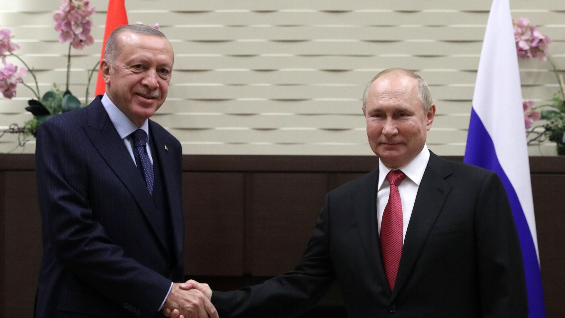Президент РФ В. Путин провел переговоры с президентом Турции Р. Эрдоганом - Sputnik Таджикистан, 1920, 30.09.2021