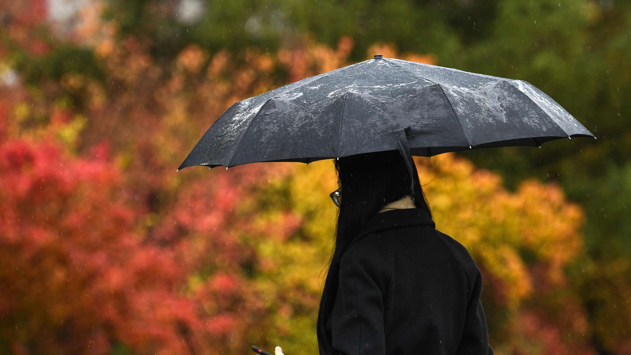 Девушка с зонтом в осеннем парке