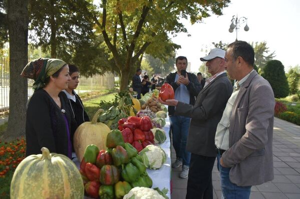 Среди всевозможных овощей представили и новый сорт картофеля &quot;Таджикистан&quot;. - Sputnik Таджикистан