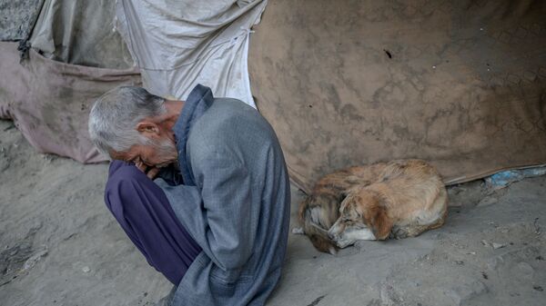 Наркоман, спящий рядом с собакой под мостом в Кабуле - Sputnik Таджикистан