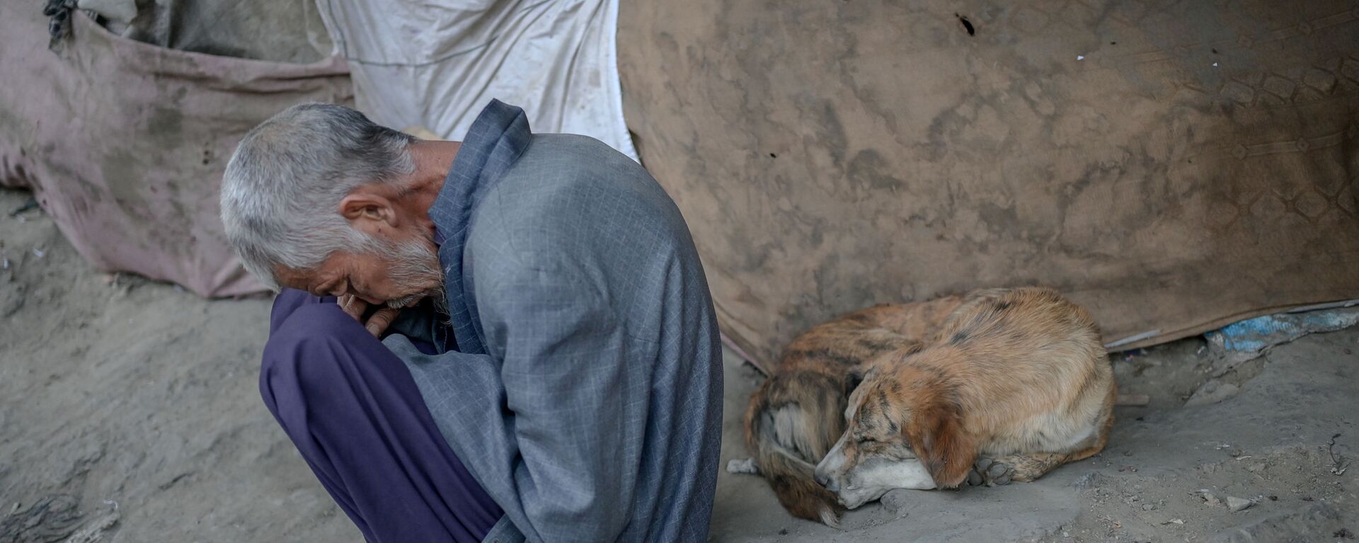 Наркоман, спящий рядом с собакой под мостом в Кабуле - Sputnik Таджикистан, 1920, 17.11.2021