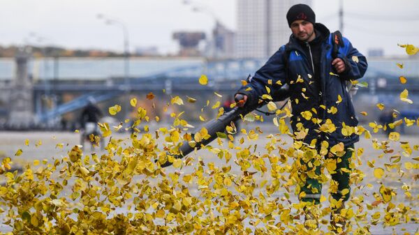 Уборка листвы с помощью воздуходува в Парке Горького в Москве, архивное фото - Sputnik Тоҷикистон