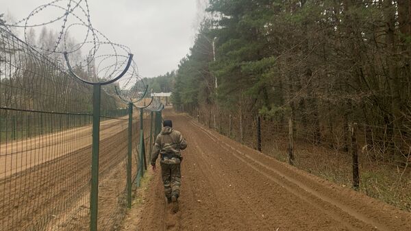 Пограничник на белорусско-польской границе - Sputnik Таджикистан
