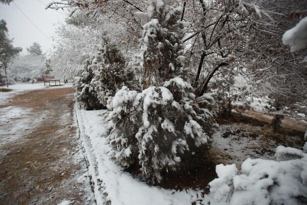 Стоит отметить, что самый первый снег в Таджикистане выпал еще летом в горах Памира. - Sputnik Таджикистан