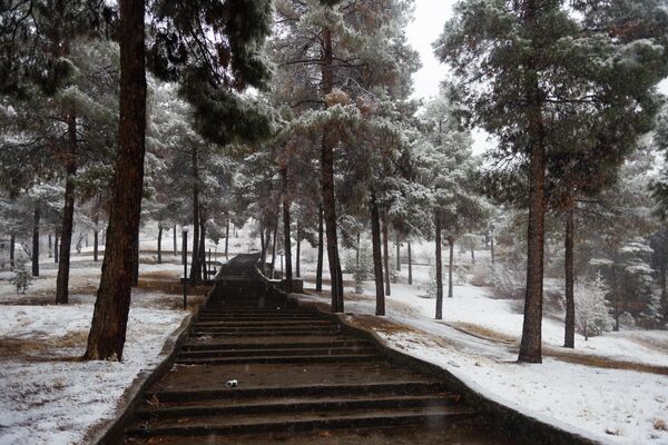 В прошлом году первый снег тоже выпал в середине ноября. - Sputnik Таджикистан