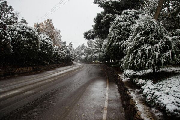 В Душанбе первый снежный покров исчезает за считаные часы. - Sputnik Таджикистан