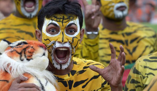 Фанат крикета из Бангладеш приветствует национальную команду в игре с Англией. Он одет в костюм тигра, символа крикета в стране. - Sputnik Таджикистан