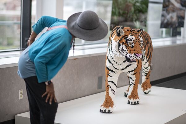 Женщина разглядывает фигуру тигра из LEGO, сделанную скульптором Натаном Савайей в рамках выставки The Art of The Brick. - Sputnik Таджикистан