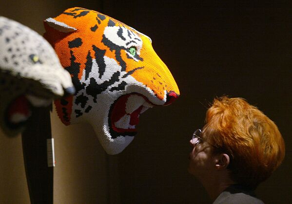 Посетитель смотрит на работу &quot;Тигр&quot; художника Дэвида Маха, представленную на ежегодной ярмарке современного искусства в Париже. - Sputnik Таджикистан