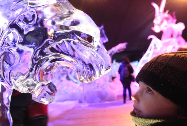 Мальчик смотрит на ледяного тигра во время фестиваля ледяных скульптур в Брюгге. - Sputnik Таджикистан