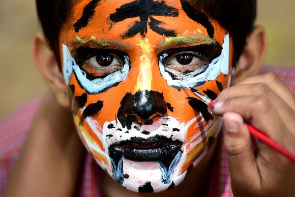 Индийский школьник рисует на лице маску тигра в рамках программы, посвященной исчезающим видам этого хищника. - Sputnik Таджикистан