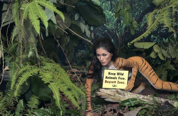 Малайзийская модель Янтарь Чиа с разрисованным под тигра телом держит табличку с призывом &quot;Освободите диких животных: бойкотируйте зоопарк&quot; Малайзия, 2009. - Sputnik Таджикистан