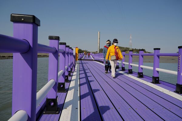 Туристы идут по пурпурному мосту (мост Ангела), соединяющему острова Банвол и Паркджи, в провинции Южная Чолла в Южной Корее. - Sputnik Таджикистан