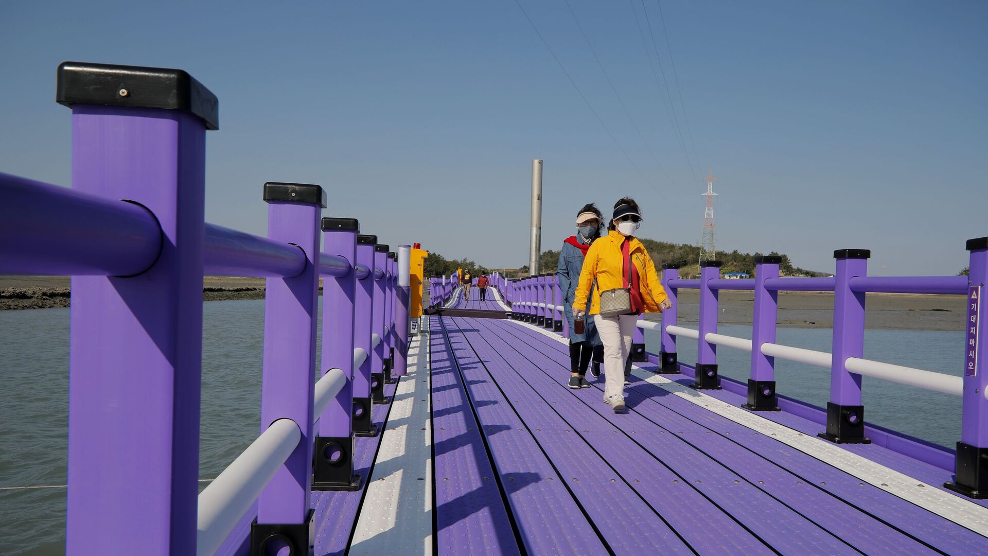 Туристы идут по пурпурному мосту в провинции Южная Чолла в Южной Корее - Sputnik Таджикистан, 1920, 23.03.2022