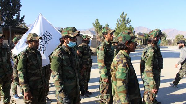 Талибы* 203-го армейского корпуса «Мансури» в афганской провинции Хост - Sputnik Таджикистан