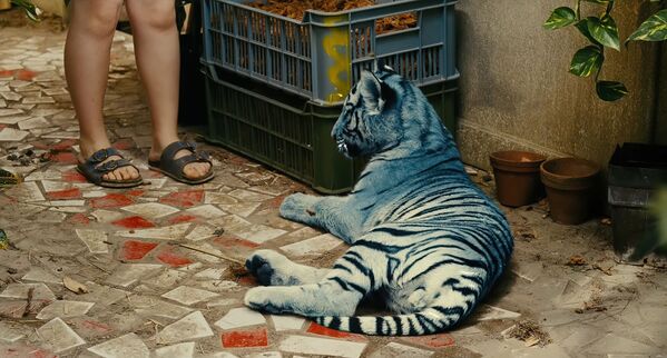 Кадр из фильма &quot;Синий тигр&quot;. Дети спасают дом от сноса с помощью нарисованного тигра. - Sputnik Таджикистан