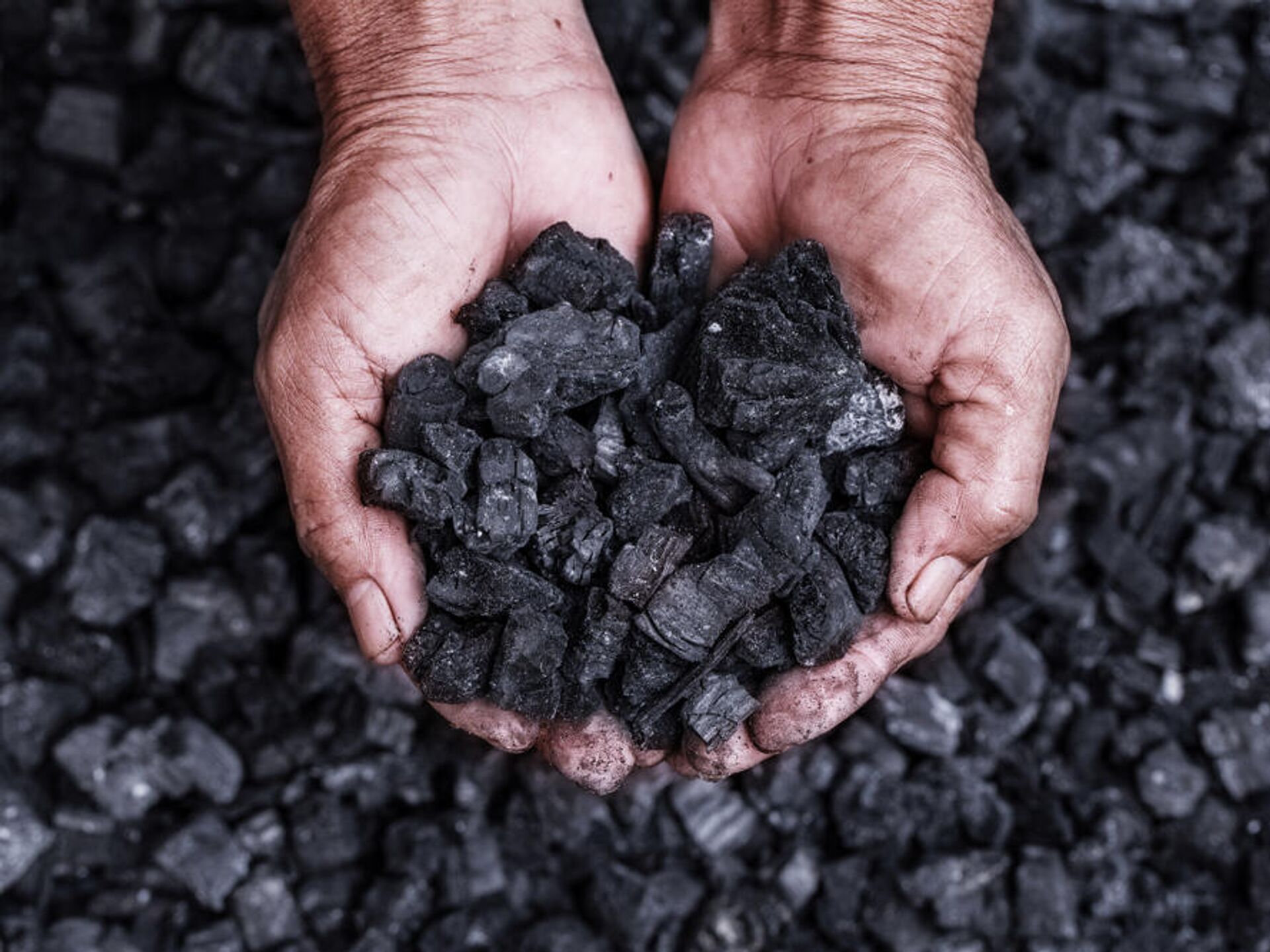 Организации угольной промышленности. Уголь. Каменный уголь. Ископаемый уголь. Уголь в природе.