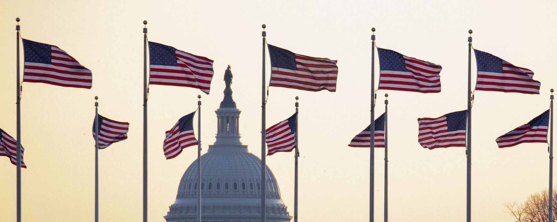 Американские флаги на фоне Капитолия в Вашингтоне, США - Sputnik Тоҷикистон, 1920, 04.04.2023